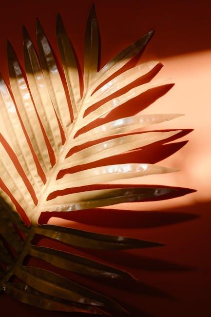 Unlock Smooth Operation: West Palm Beach's Top Sliding Door Repair